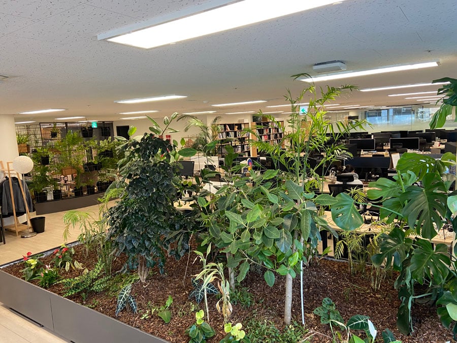 Qubit office