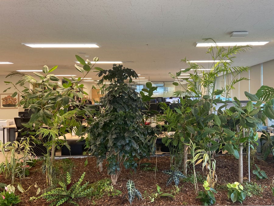 Qubit office