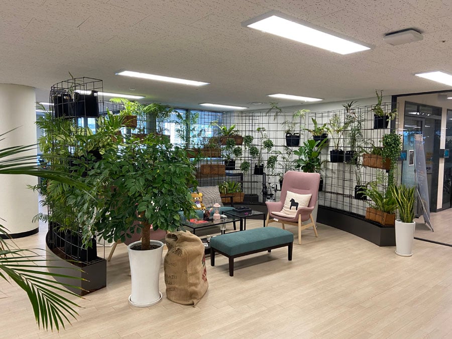 Qubit office